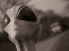 Tall White Aliens control America, Leaked NSA Documents Reveal